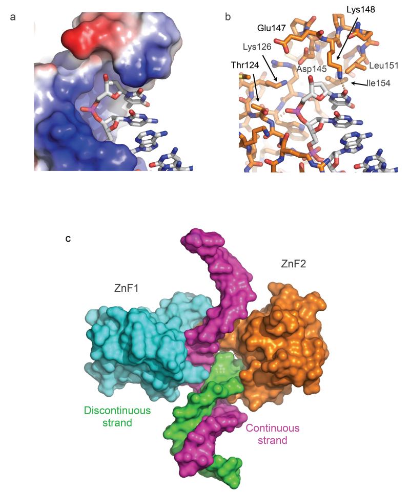 FIGURE 3