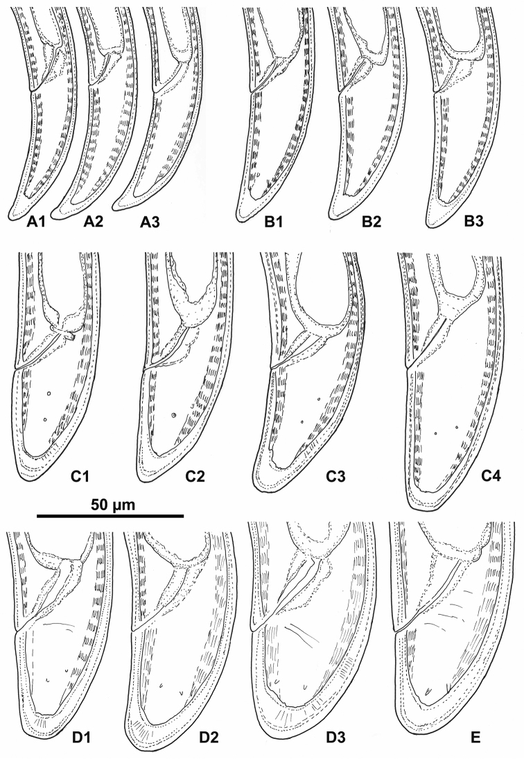 Figure 5.