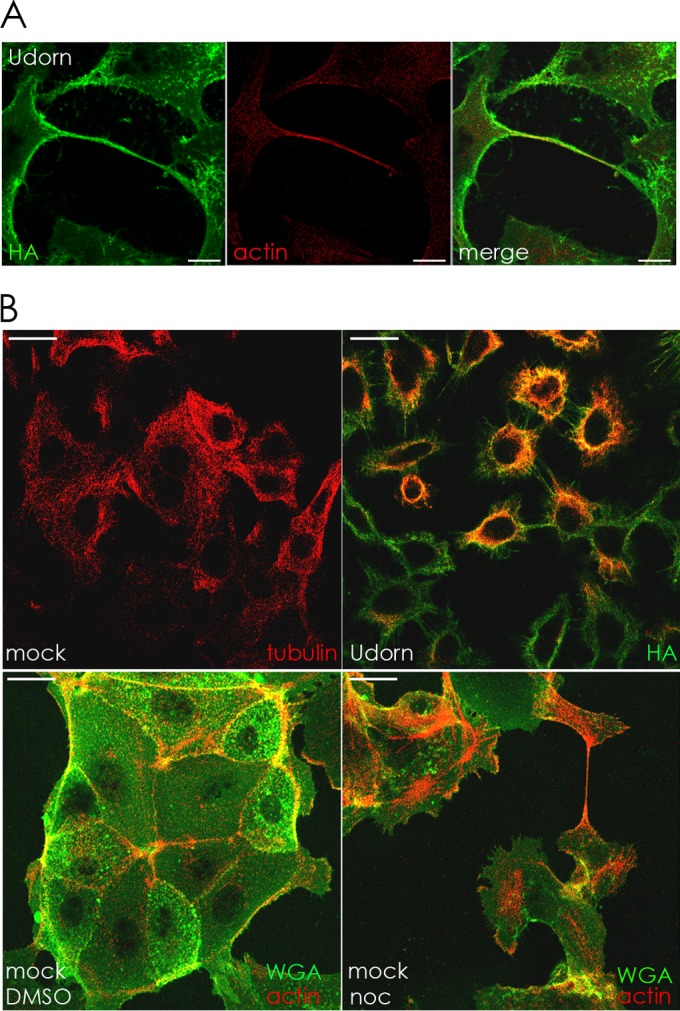 FIG 9