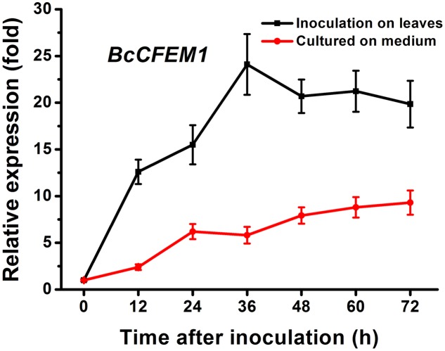 FIGURE 3