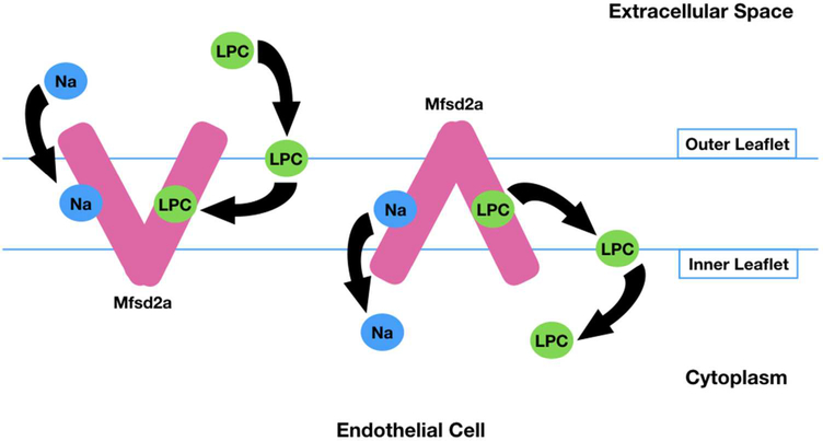 Figure-1: