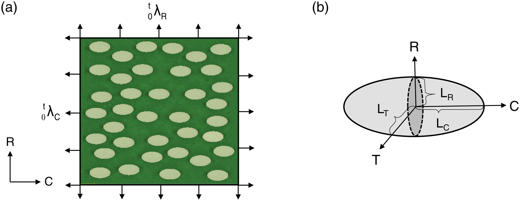 Figure 6 –