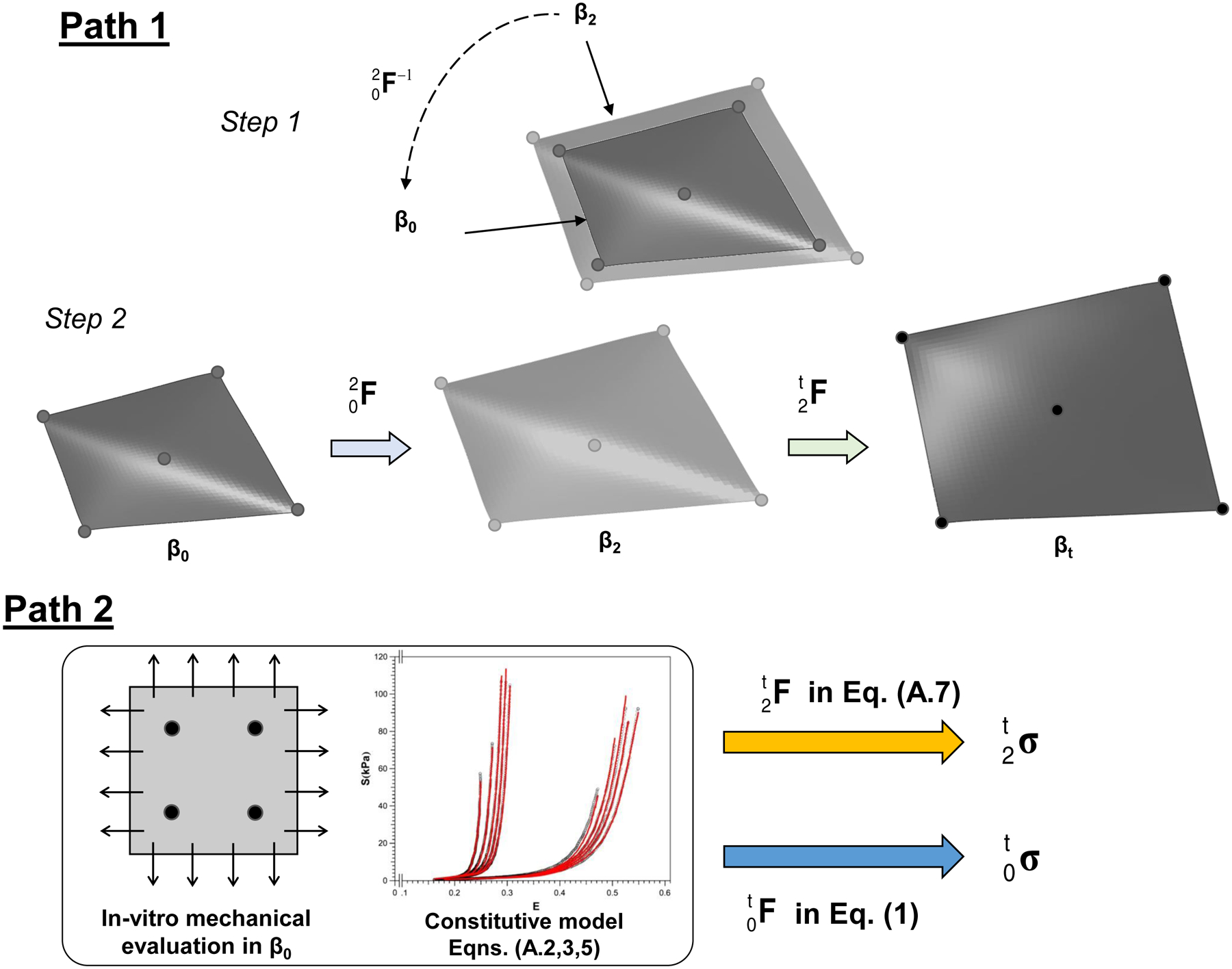 Figure 4 –