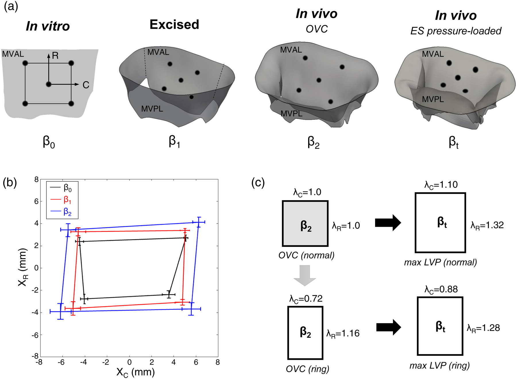 Figure 1 –