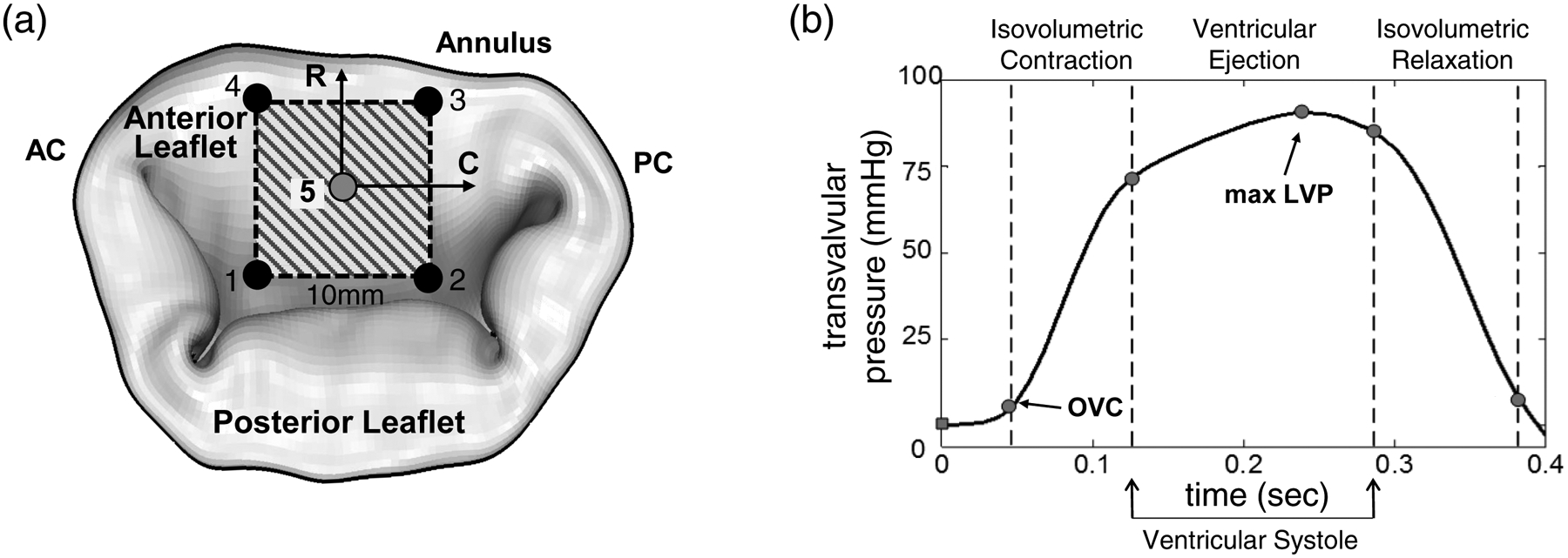 Figure 2 –