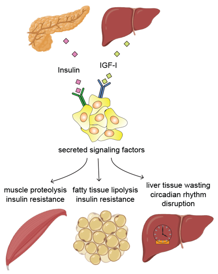 Figure 10.