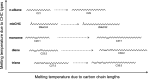 Figure 2—figure supplement 2.