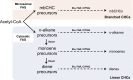 Figure 5—figure supplement 8.
