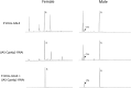 Figure 5—figure supplement 9.