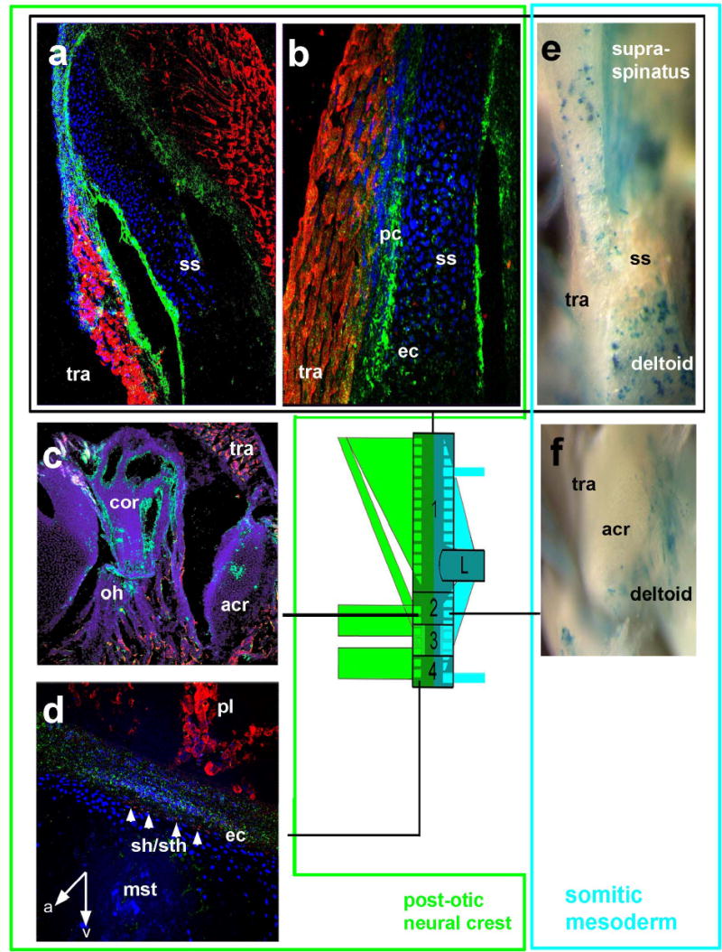 Fig.4