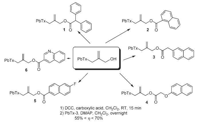 Scheme 2