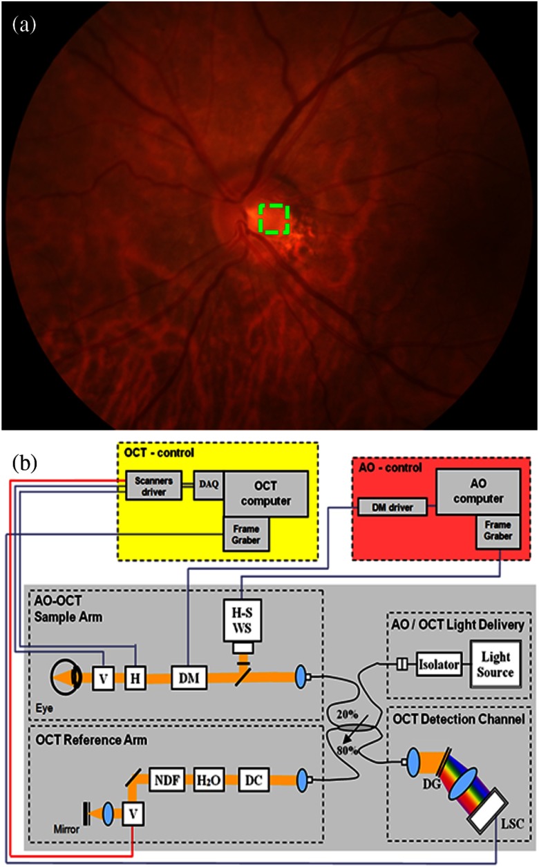 Fig. 1