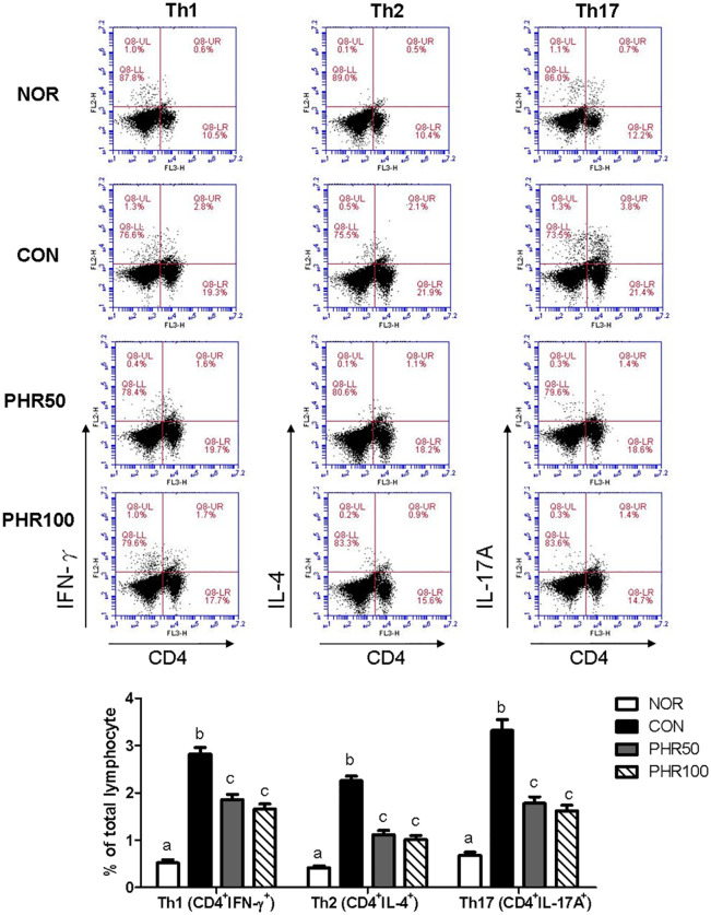 Figure 6.