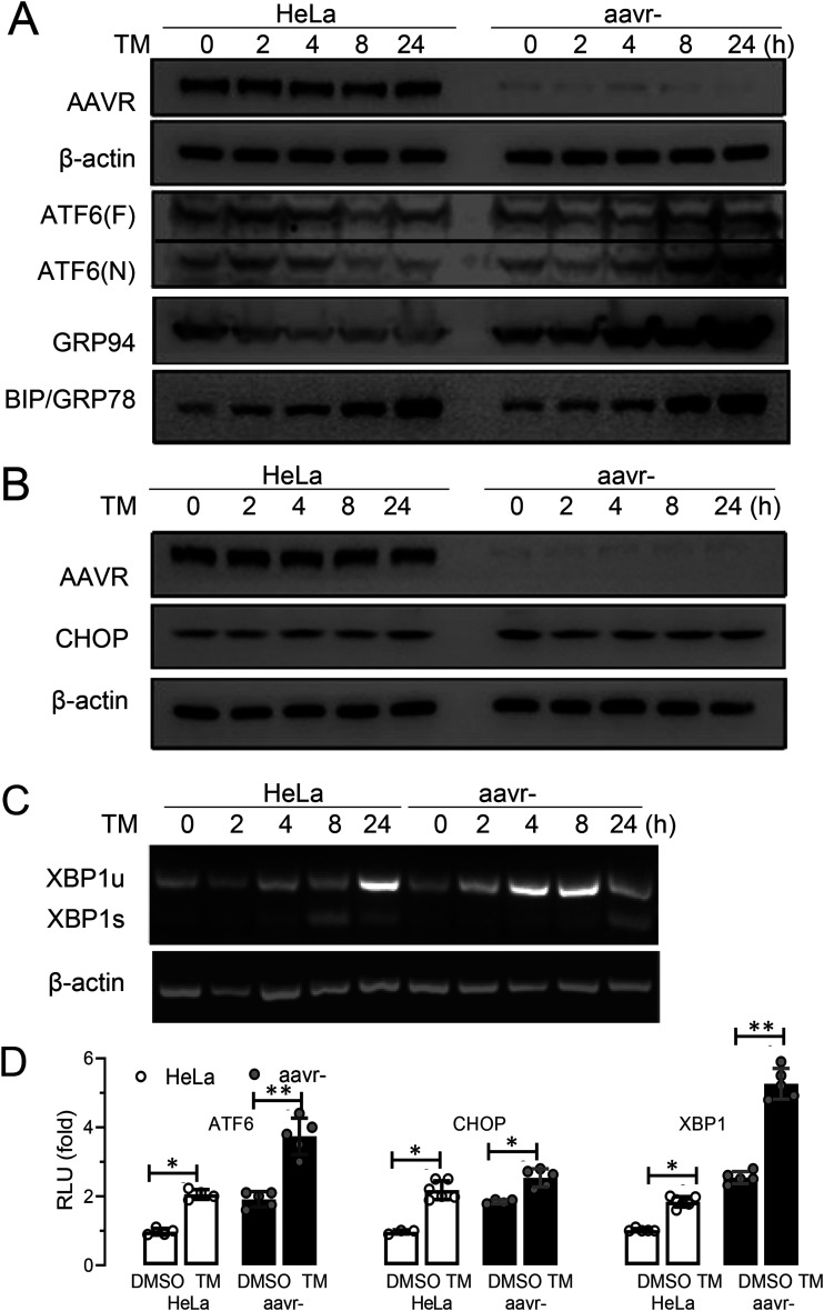 FIG 2