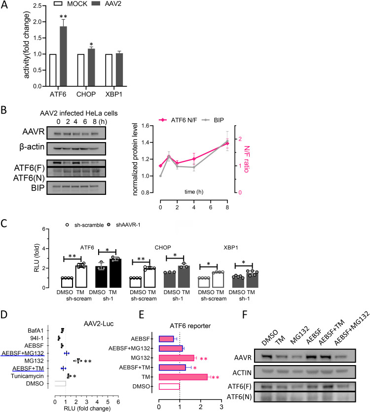 FIG 6