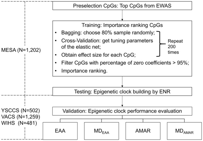 FIGURE 1