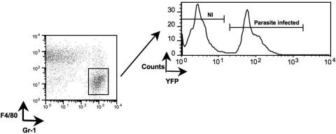 FIG. 2.