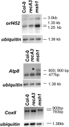 F<sc>igure</sc> 5.—