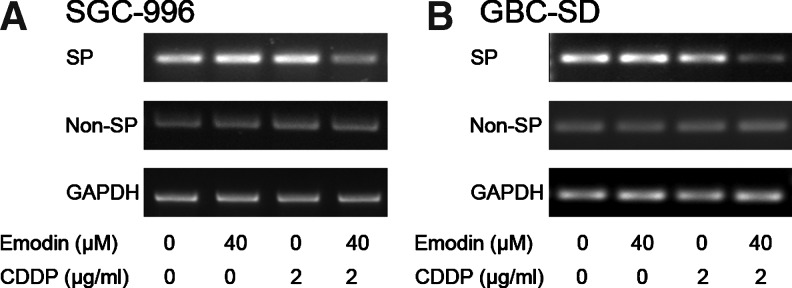 FIG. 5.