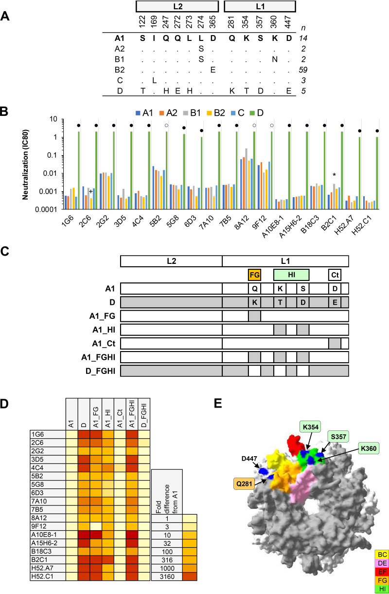 FIG 6