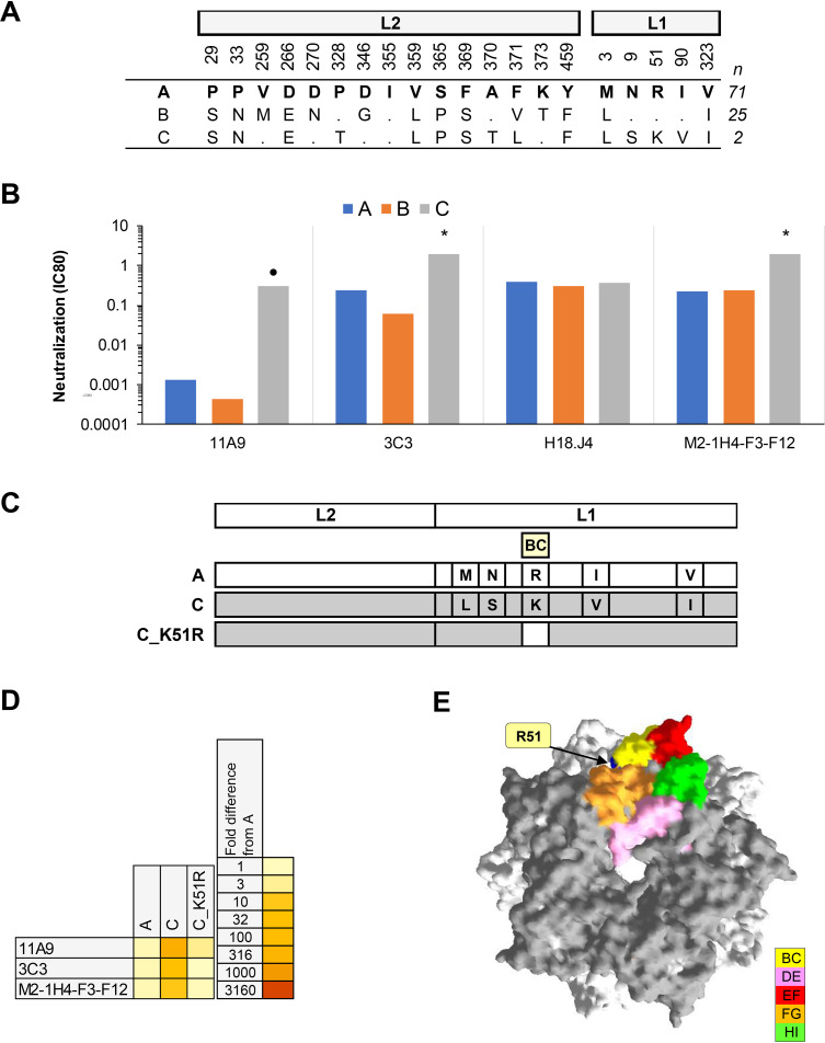 FIG 2