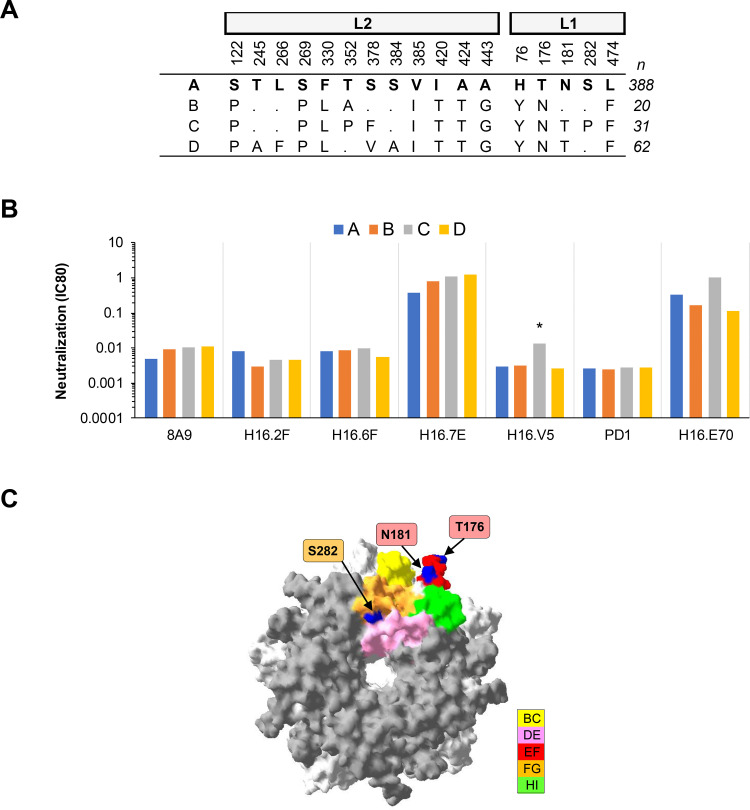 FIG 1