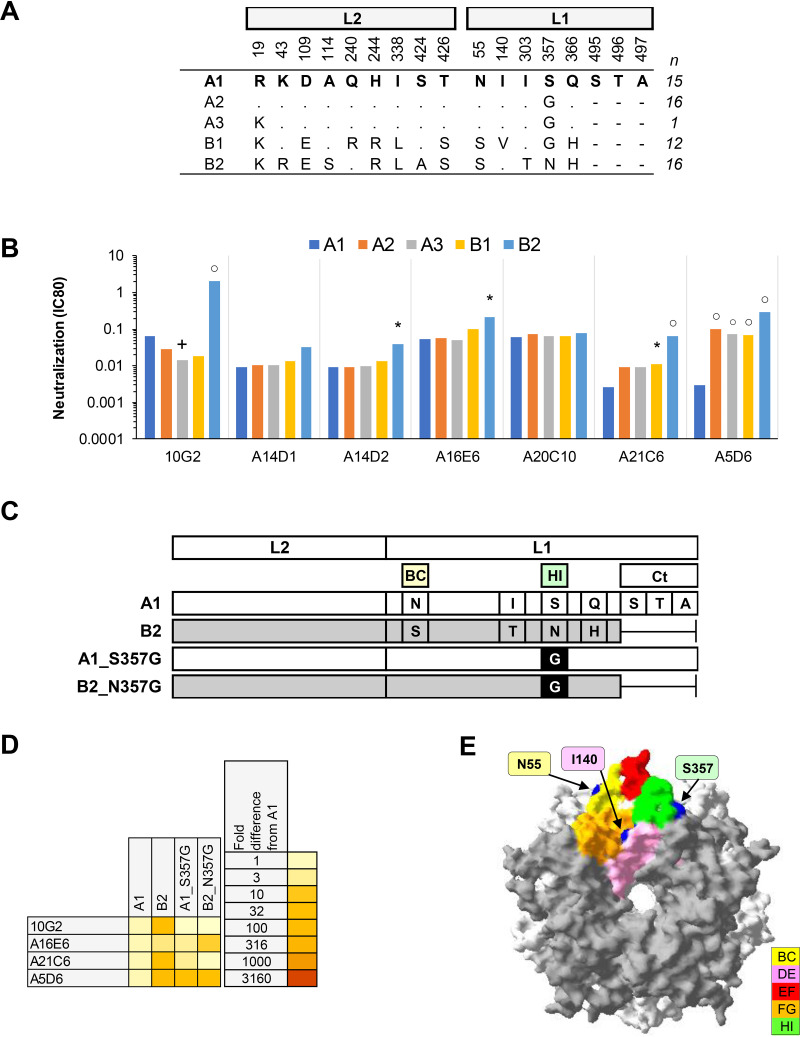 FIG 5