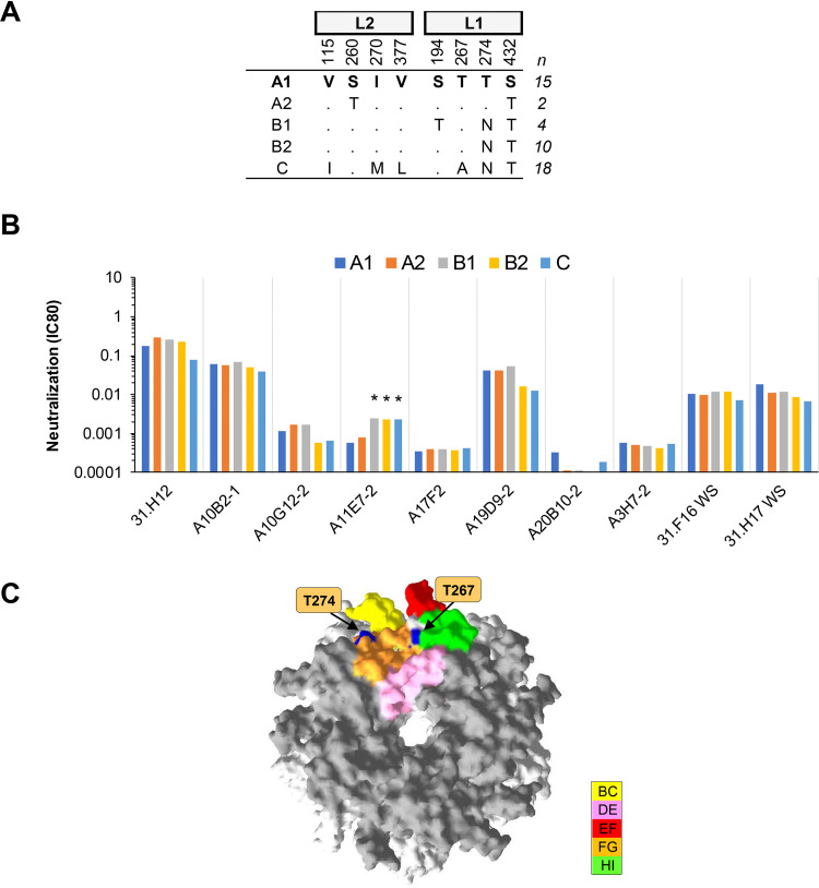 FIG 3