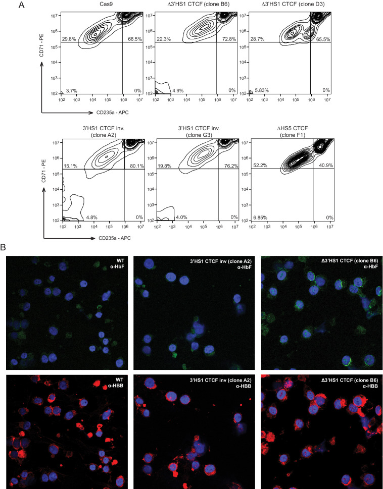 Figure 1—figure supplement 3.