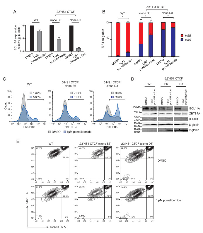 Figure 2—figure supplement 2.