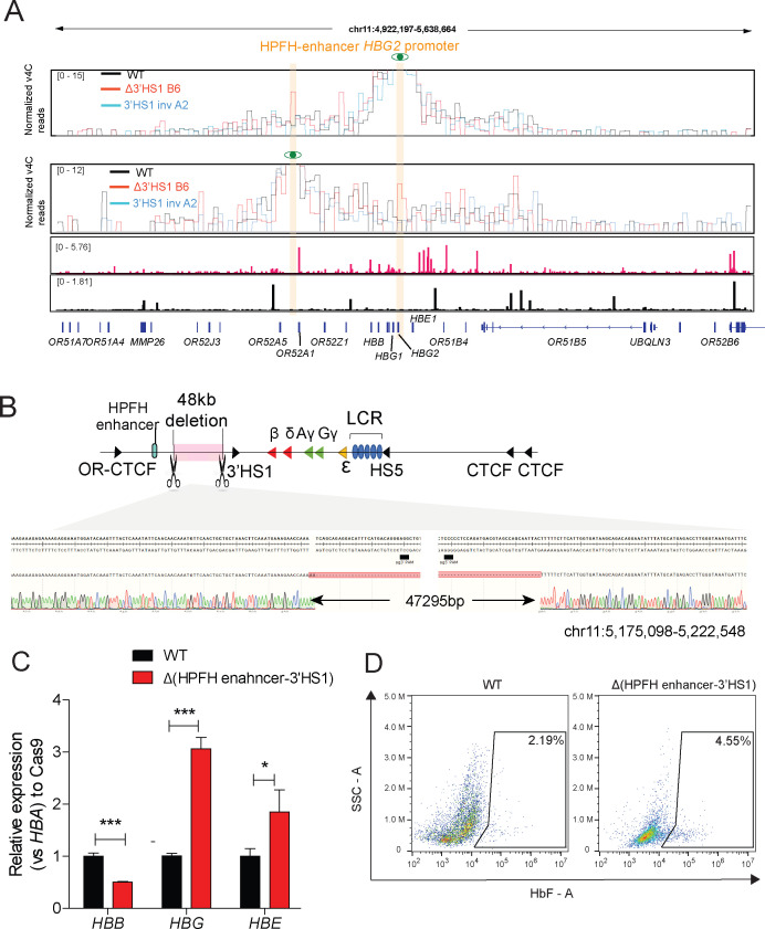 Figure 3—figure supplement 1.