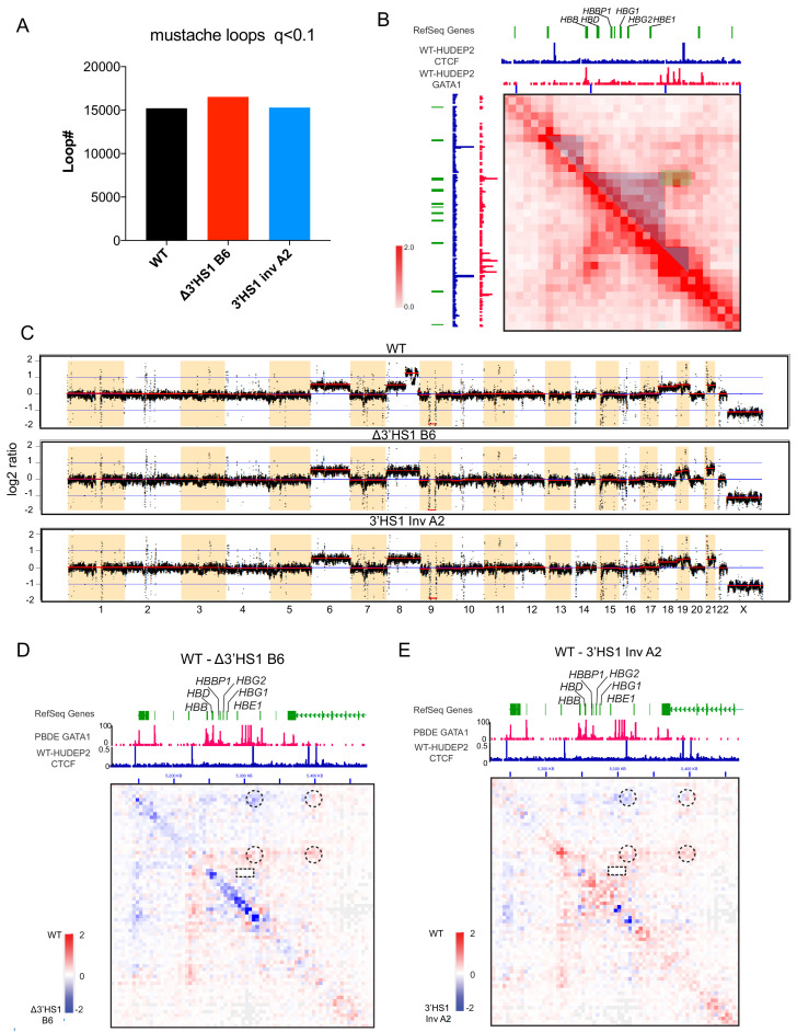 Figure 1—figure supplement 2.