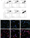 Figure 1—figure supplement 3.