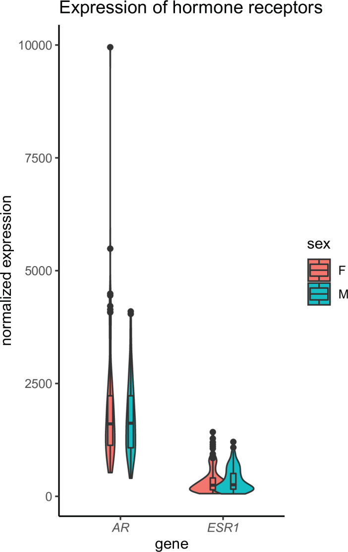 Figure 1—figure supplement 1.