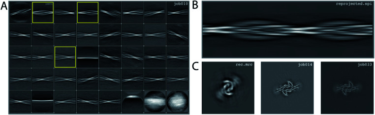 Fig. 3