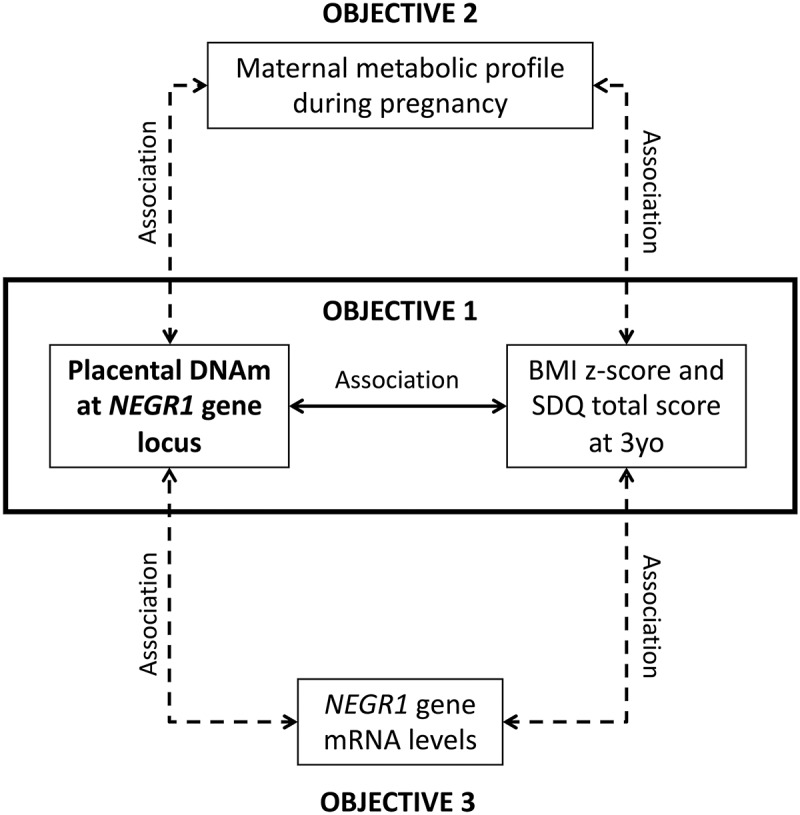 Figure 1.