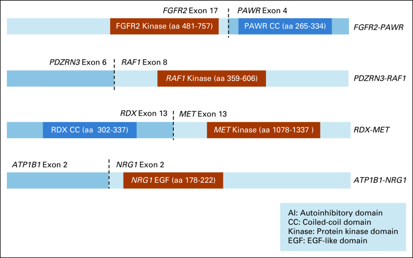 FIG 2.