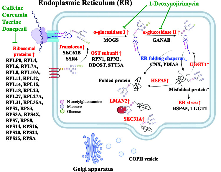 Figure 4.