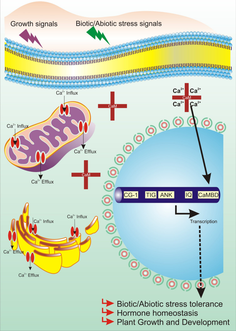 FIGURE 3