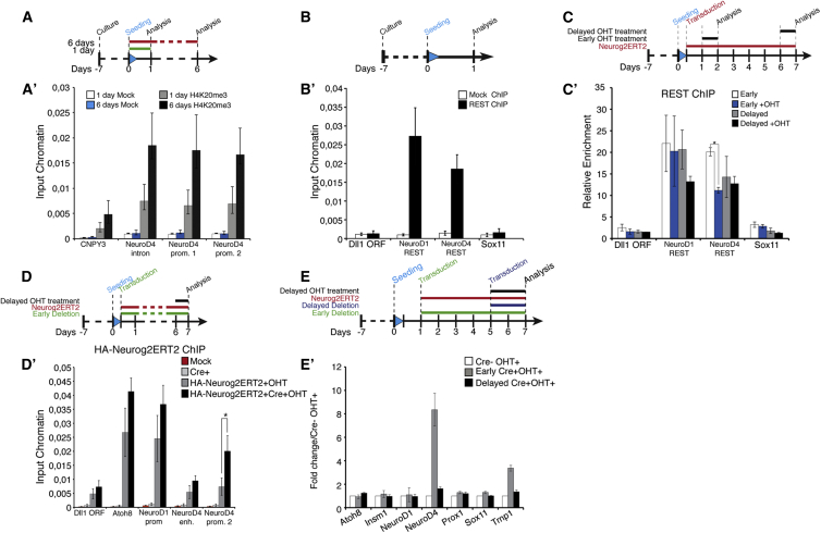 Figure 6