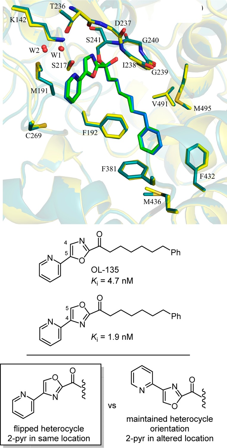 Figure 17