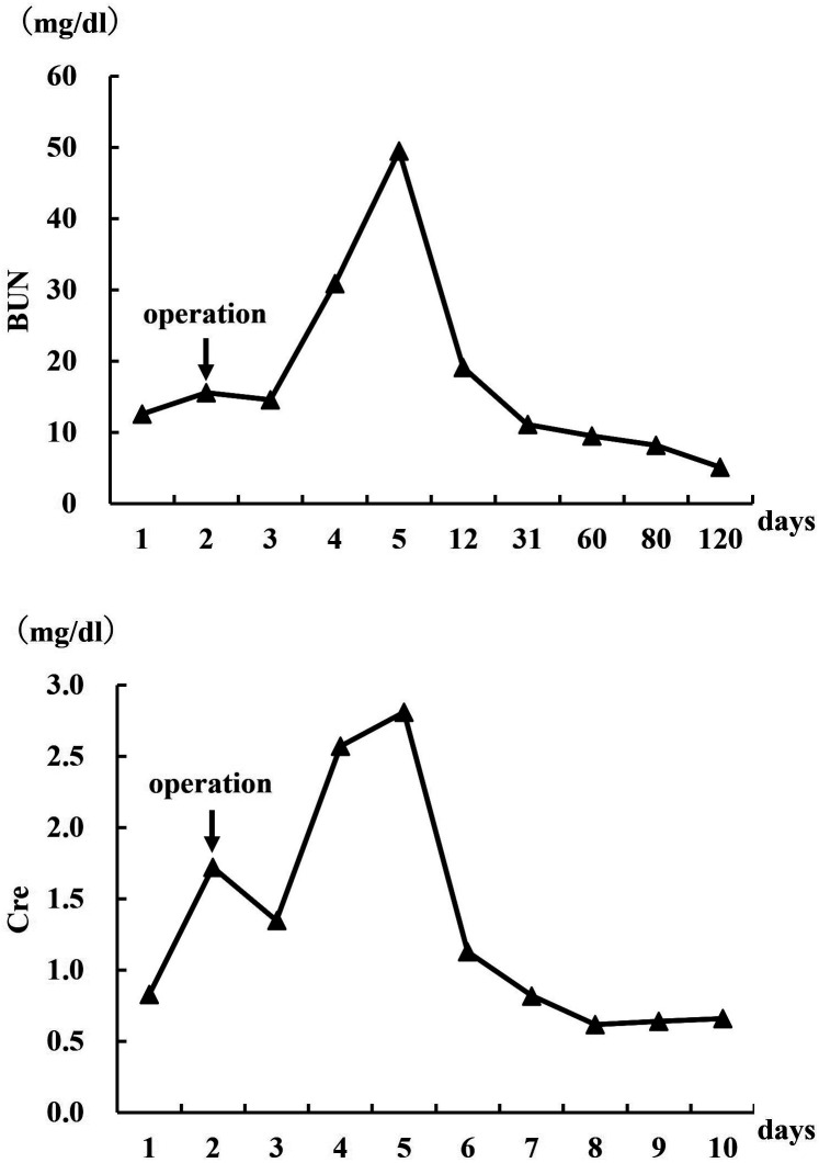 Fig. 5.