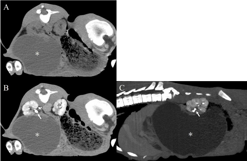 Fig. 2.