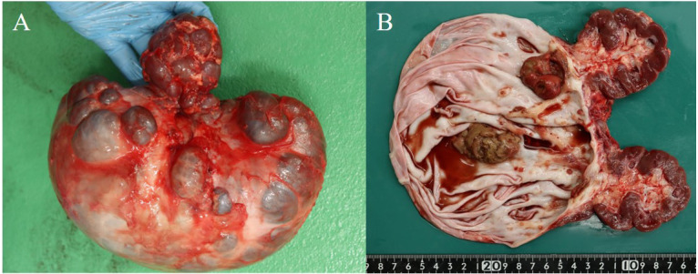 Fig. 3.