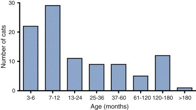 FIGURE 20-1