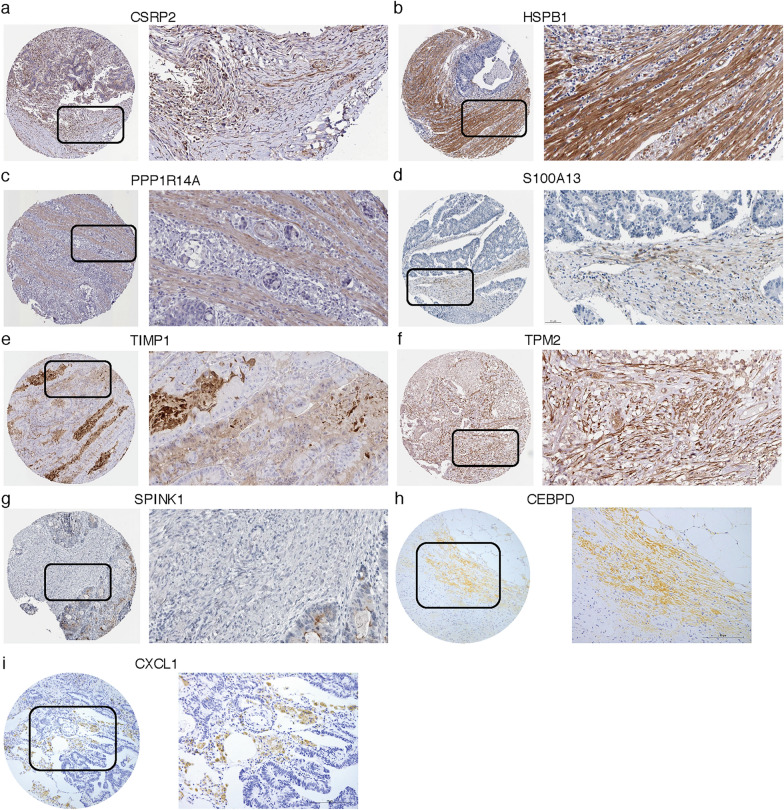 Fig. 11