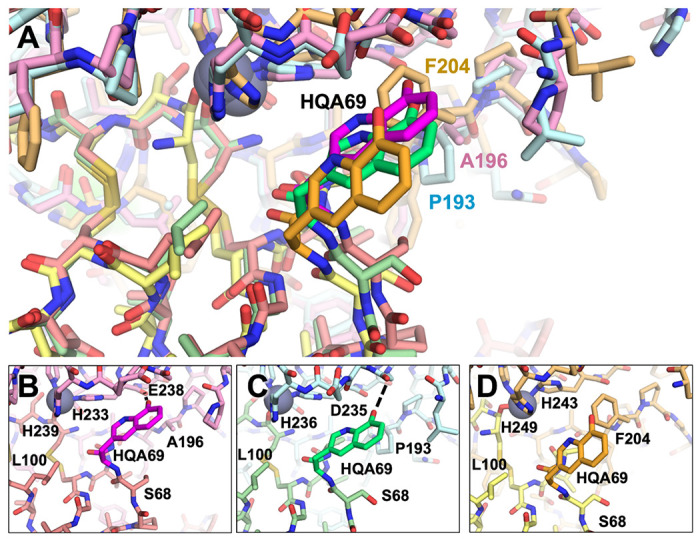 Figure 7