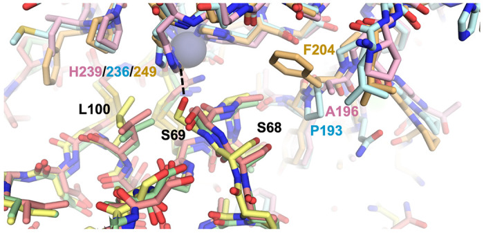 Figure 6