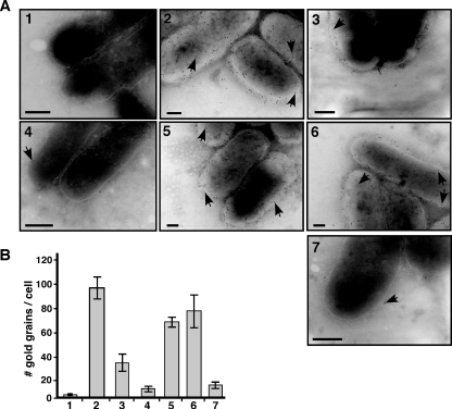 FIG. 7.