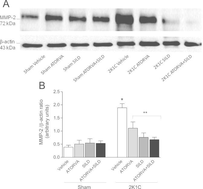 Fig. 8